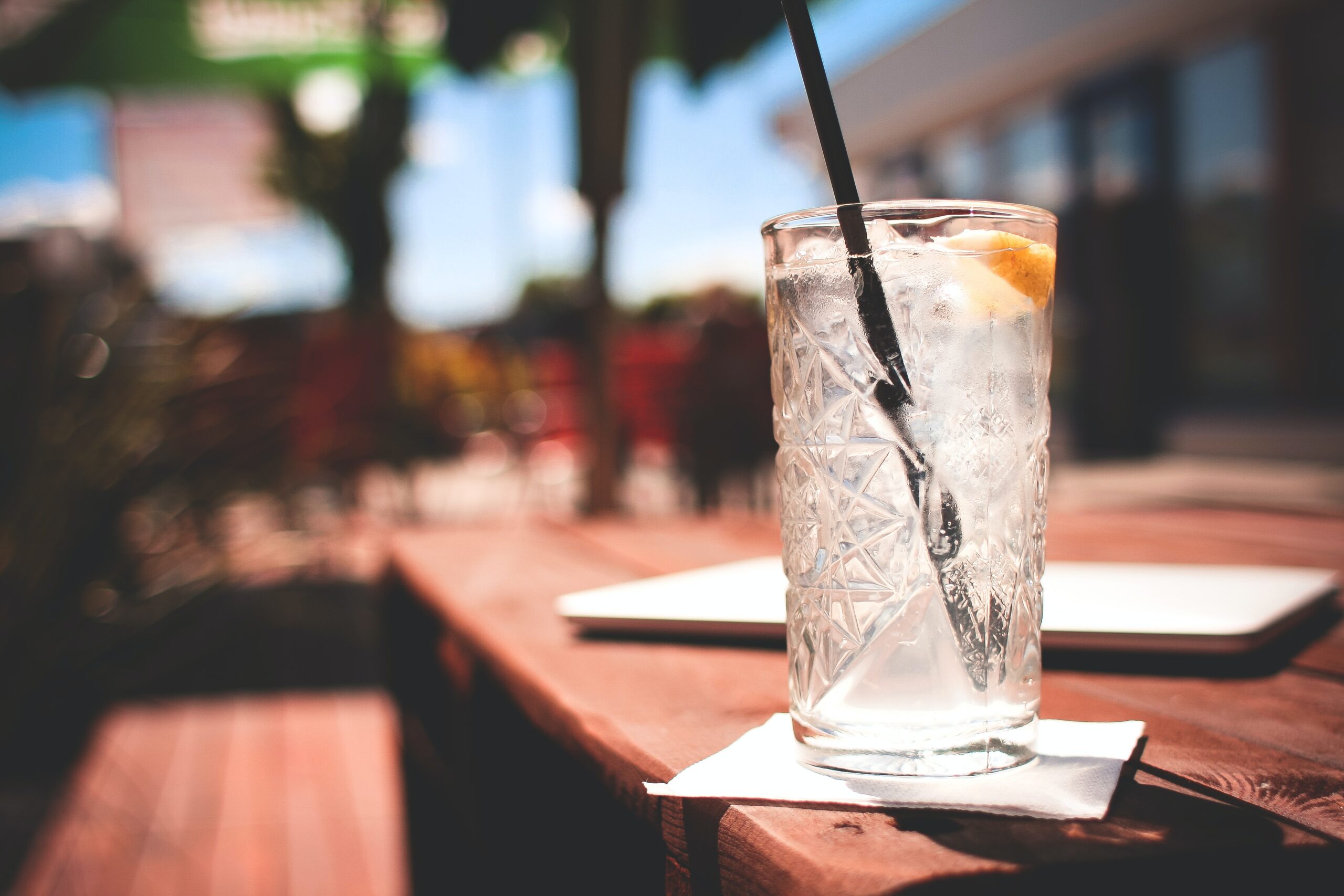 Gin and Tonic Cocktail Recipe Gin and Tonic