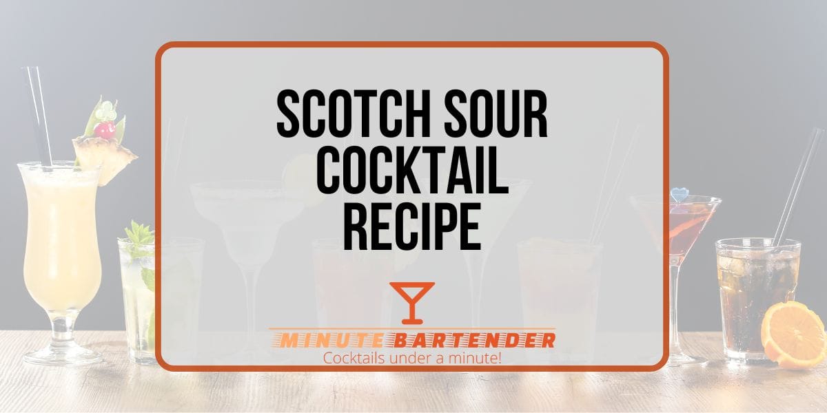Scotch Sour Cocktail Recipe